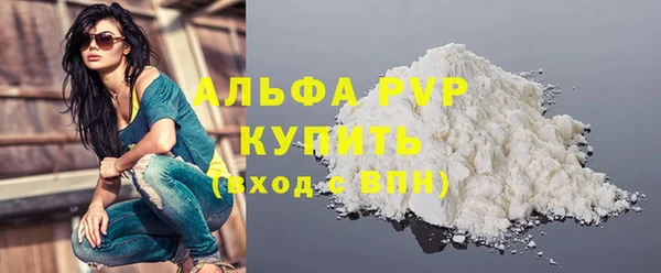 гидра Белокуриха