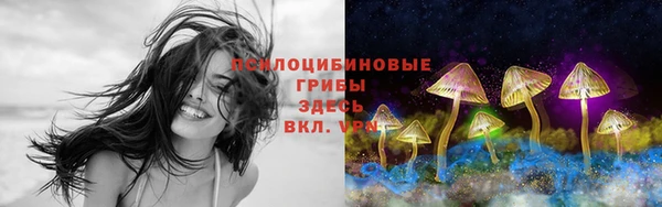 spice Беломорск