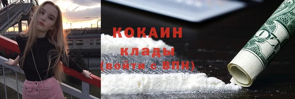 гидра Белокуриха