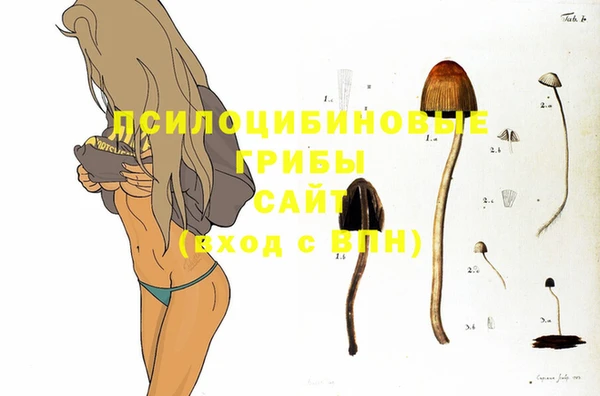 гидра Белокуриха