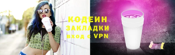 ПСИЛОЦИБИНОВЫЕ ГРИБЫ Богданович