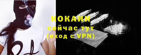 кокс Богородицк
