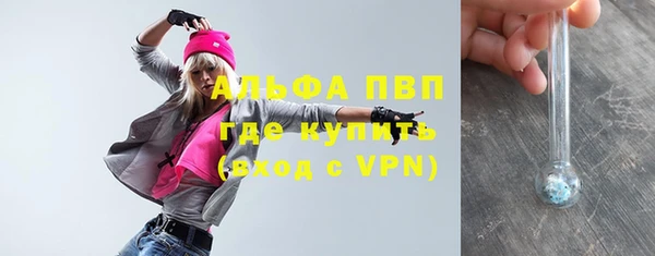 гидра Белокуриха