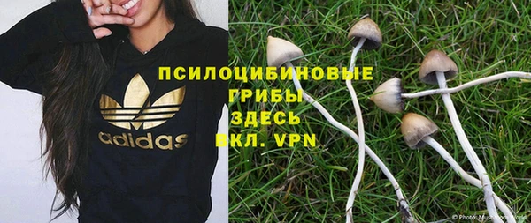 ПСИЛОЦИБИНОВЫЕ ГРИБЫ Богданович
