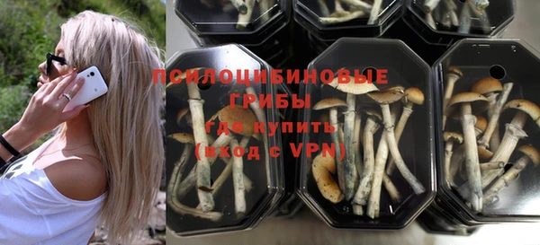 spice Беломорск