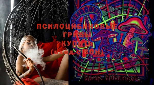 гидра Белокуриха