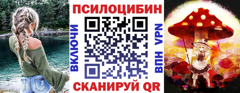продажа наркотиков  Болхов  Псилоцибиновые грибы прущие грибы 